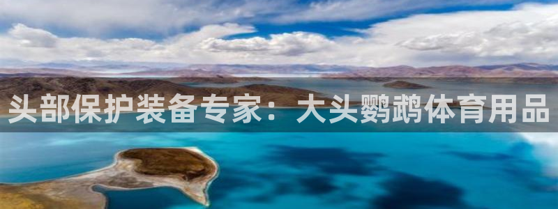 欧陆娱乐平台咋样赚钱快：头部保护装备专家：大头鹦鹉体
