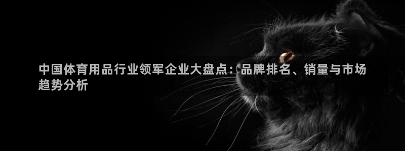 欧陆娱乐突然登录不了了：中国体育用品行业领军企业大盘