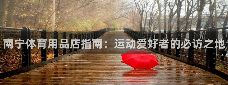 欧陆娱乐百科大全：南宁体育用品店指南：运动爱好者的必
