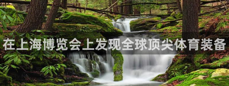 欧陆娱乐欢迎访问：在上海博览会上发现全球顶尖体育装备