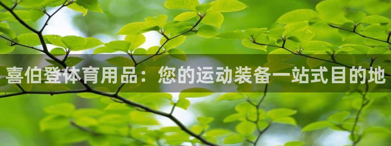 欧陆娱乐登陆平台下载