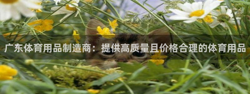 欧陆娱乐注册代理多少钱一个月：广东体育用品制造商：提