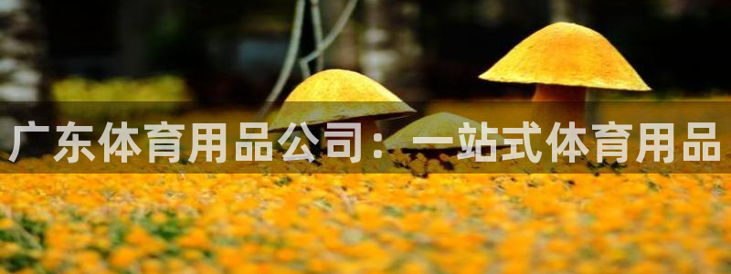欧陆娱乐平台登录不上去了：广东体育用品公司：一站式体