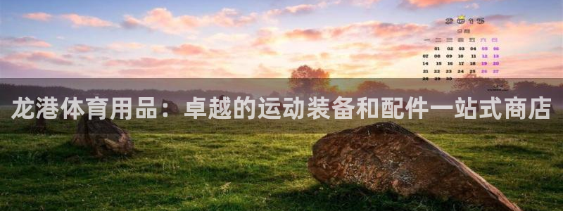 欧陆注册登录入口：龙港体育用品：卓越的运动装备和配件