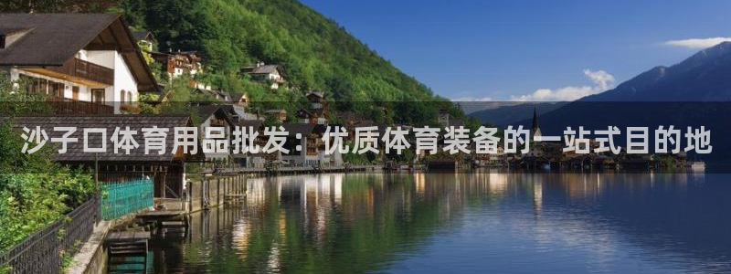 欧陆娱乐代理多少个点位啊：沙子口体育用品批发：优质体