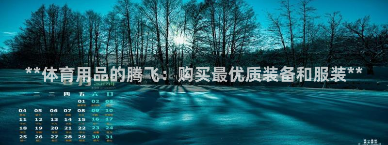 欧陆娱乐登陆官网入口：**体育用品的腾飞：购买最优质