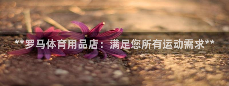 欧陆娱乐登录注册平台下载：**罗马体育用品店：满足您