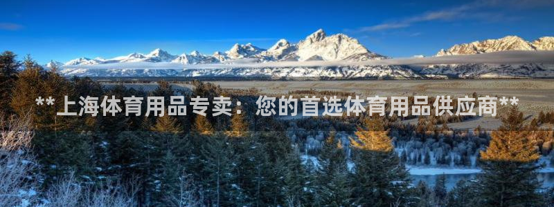 欧陆娱乐官网注册中心下载：**上海体育用品专卖：您的