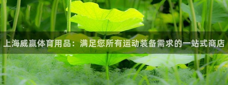 欧陆娱乐计划预测软件有哪些：上海威赢体育用品：满足您