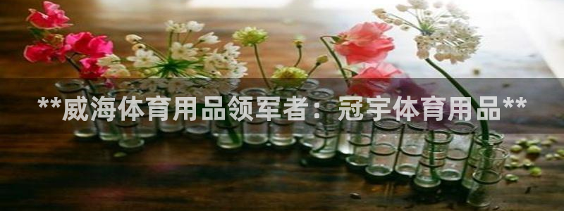 欧陆娱乐怎么注册账号：**威海体育用品领军者：冠宇体