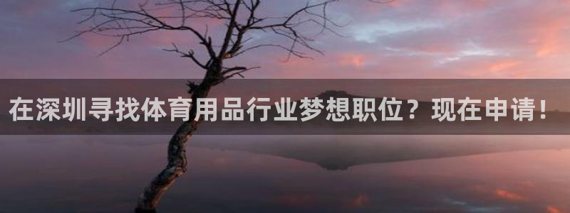 欧陆娱乐登录官网网址：在深圳寻找体育用品行业梦想职位