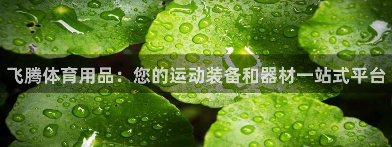 欧陆娱乐累计盈利多少就会被劝退呢：飞腾体育用品：您的