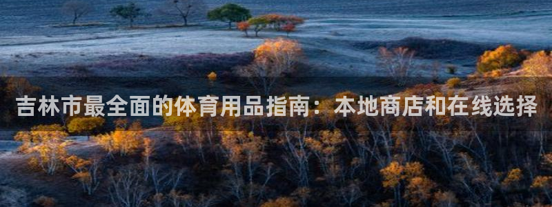 重庆欧陆娱乐有限公司怎么样