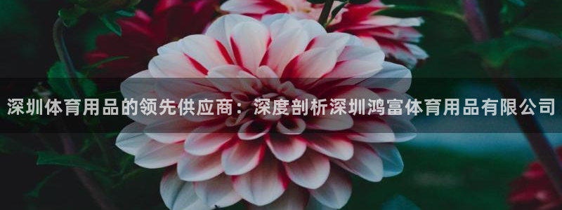 欧陆娱乐平台登陆地址是什么：深圳体育用品的领先供应商