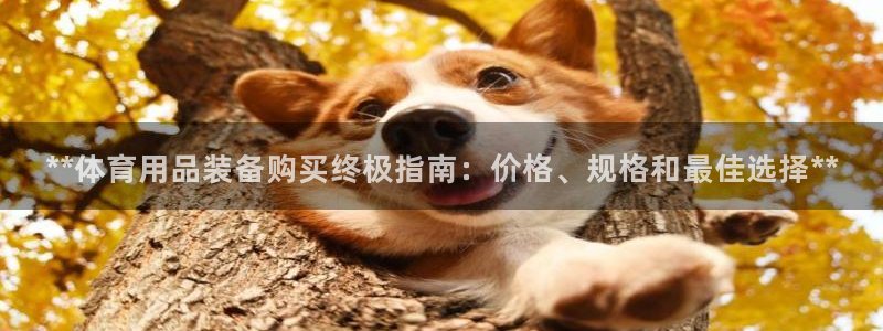 欧陆娱乐测速：**体育用品装备购买终极指南：价格、规