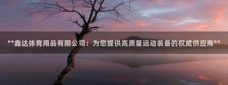欧陆娱乐官网下载安装：**鑫达体育用品有限公司：为您
