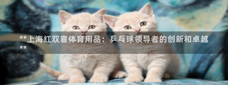欧陆娱乐能提现嘛是真的吗：**上海红双喜体育用品：乒