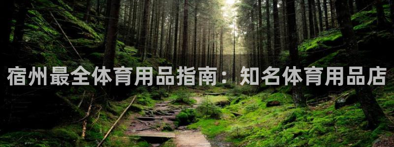 欧陆娱乐注册代理多少钱啊：宿州最全体育用品指南：知名