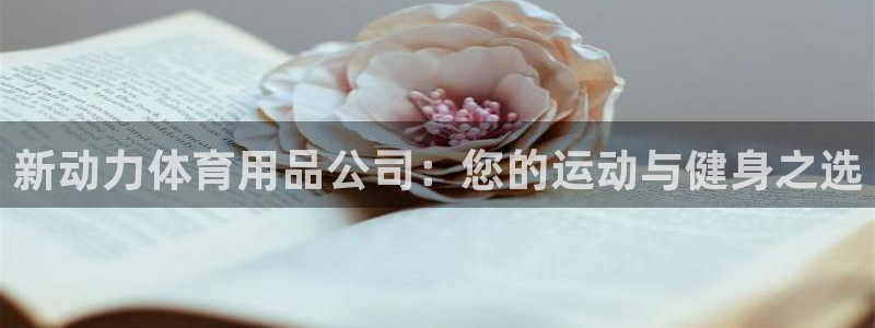 欧陆娱乐是资金盘吗：新动力体育用品公司：您的运动与健