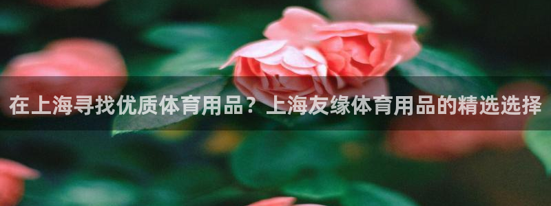 欧陆娱乐会员有什么用：在上海寻找优质体育用品？上海友