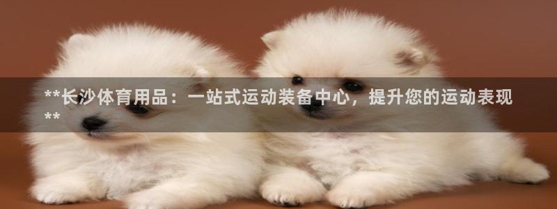 欧陆娱乐是正规平台吗安全吗可靠吗：**长沙体育用品：