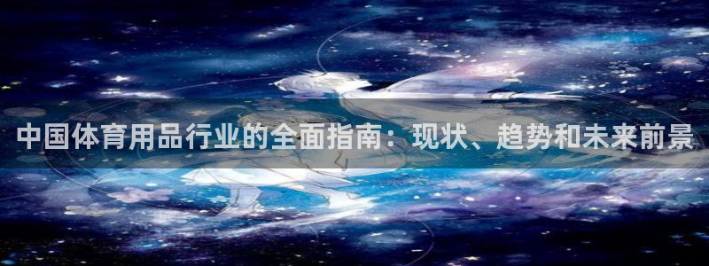 欧陆娱乐代理多少个点位合适：中国体育用品行业的全面指