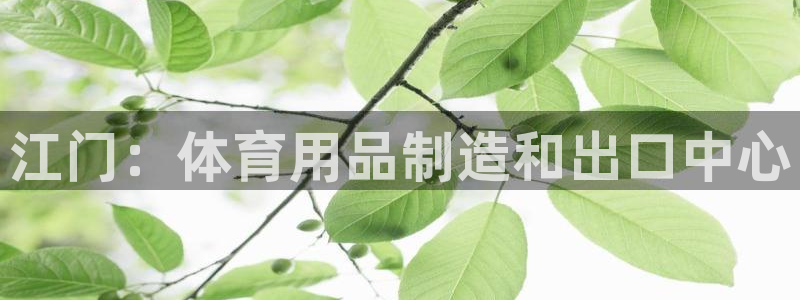 欧陆娱乐平台咋样赚钱快：江门：体育用品制造和出口中心