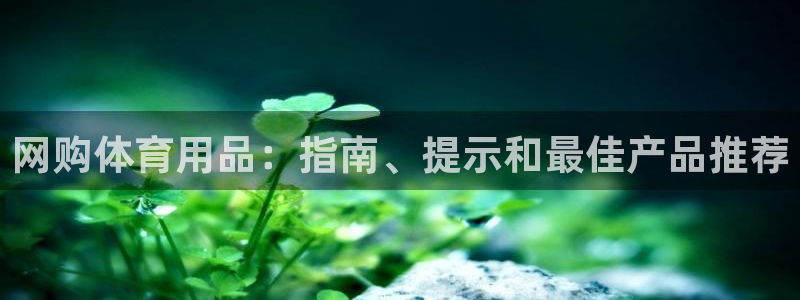欧陆娱乐图片：网购体育用品：指南、提示和最佳产品推荐