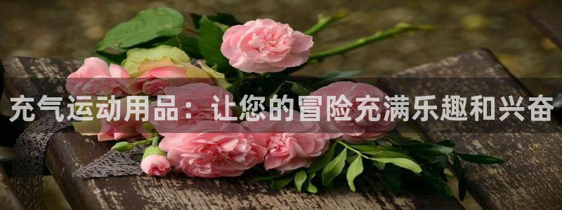 欧陆娱乐平台登录不上去怎么办：充气运动用品：让您的冒