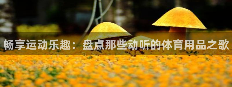 欧陆娱乐突然登录不了了：畅享运动乐趣：盘点那些动听的