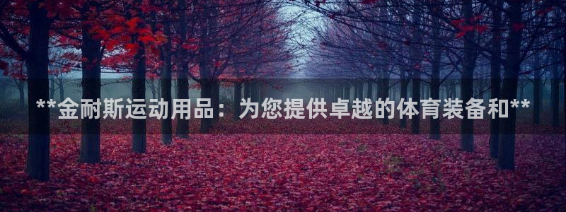 欧陆娱乐登陆平台：**金耐斯运动用品：为您提供卓越的