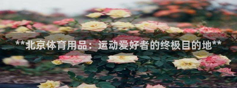 欧陆娱乐官网首页网址：**北京体育用品：运动爱好者的