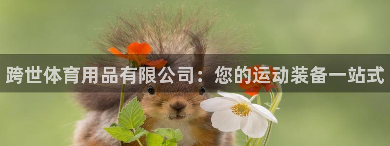 欧陆娱乐测试网站：跨世体育用品有限公司：您的运动装备