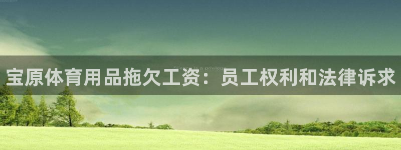欧陆娱乐官网入口下载：宝原体育用品拖欠工资：员工权利