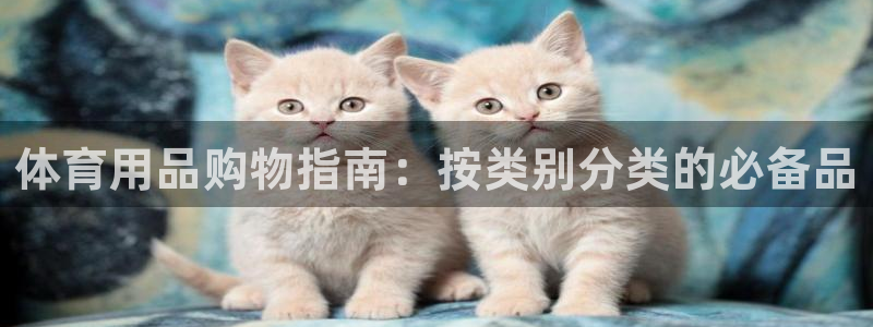 欧陆娱乐app打不开怎么回事视频：体育用品购物指南：