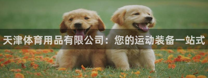 欧陆娱乐官网下载安装最新版：天津体育用品有限公司：您