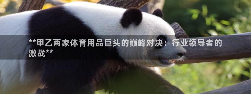 欧陆娱乐稳中：**甲乙两家体育用品巨头的巅峰对决：行