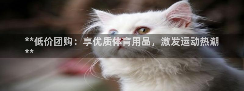 欧陆娱乐会员：**低价团购：享优质体育用品，激发运动
