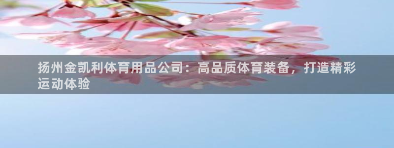 欧陆娱乐脚本：扬州金凯利体育用品公司：高品质体育装备