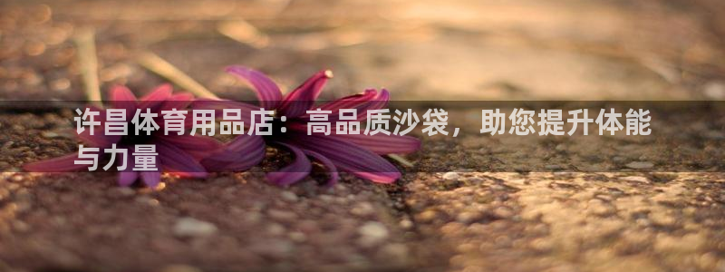 重庆欧陆娱乐有限公司电话：许昌体育用品店：高品质沙袋