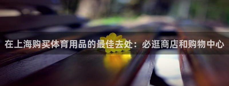 欧陆娱乐官方网站：在上海购买体育用品的最佳去处：必逛
