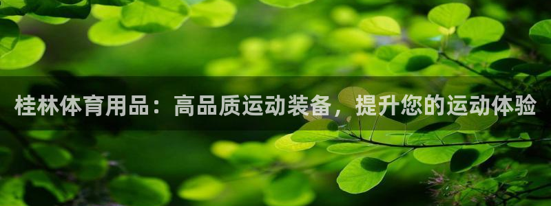 欧陆娱乐群里怎么进：桂林体育用品：高品质运动装备，提