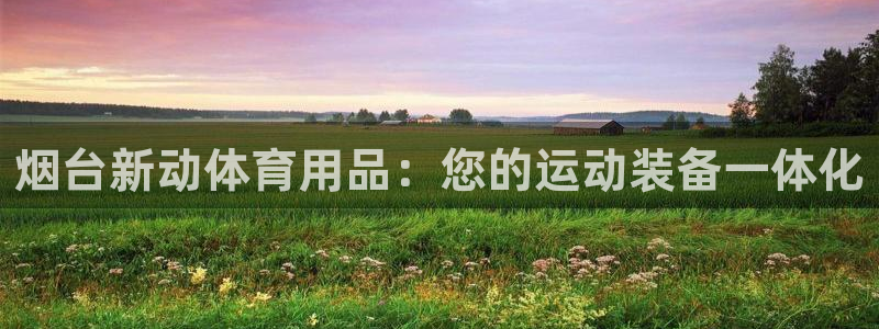 欧陆娱乐系统教程：烟台新动体育用品：您的运动装备一体