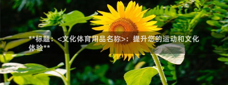 欧陆娱乐请输入USDT地址：**标题：<文化体育用品