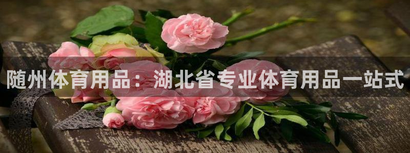 欧陆娱乐平台登录不上去怎么回事：随州体育用品：湖北省