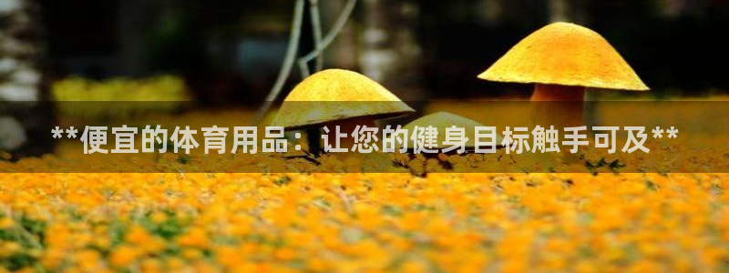 欧陆娱乐测试：**便宜的体育用品：让您的健身目标触手