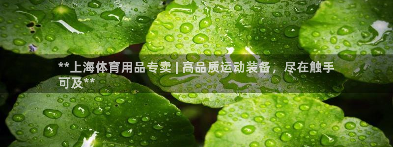欧陆娱乐群里怎么进：**上海体育用品专卖 | 高品质