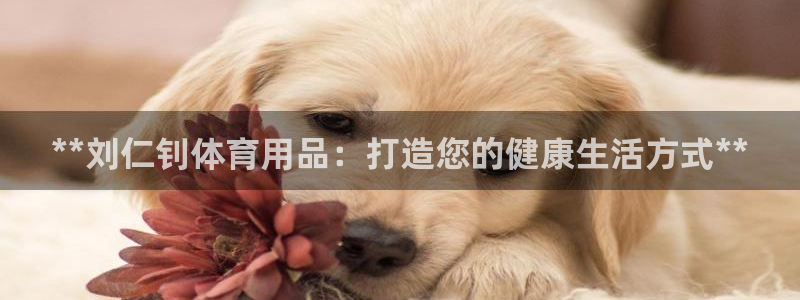 欧陆娱乐登陆平台有哪些：**刘仁钊体育用品：打造您的