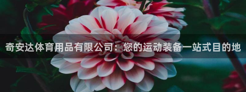 欧陆娱乐平台官网：奇安达体育用品有限公司：您的运动装
