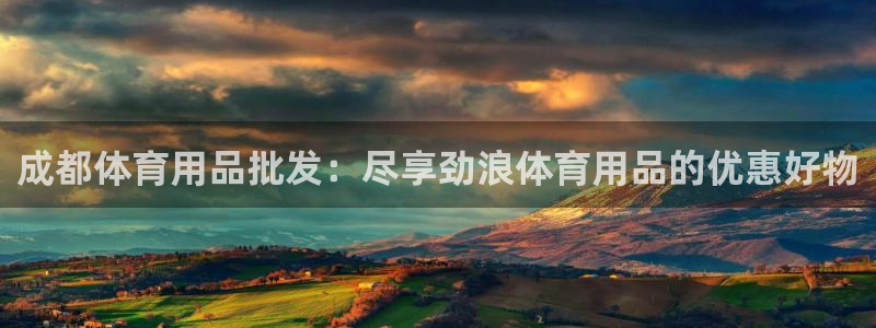重庆欧陆娱乐有限公司地址：成都体育用品批发：尽享劲浪